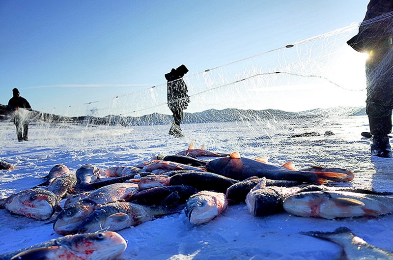 乌兰浩特1.jpg