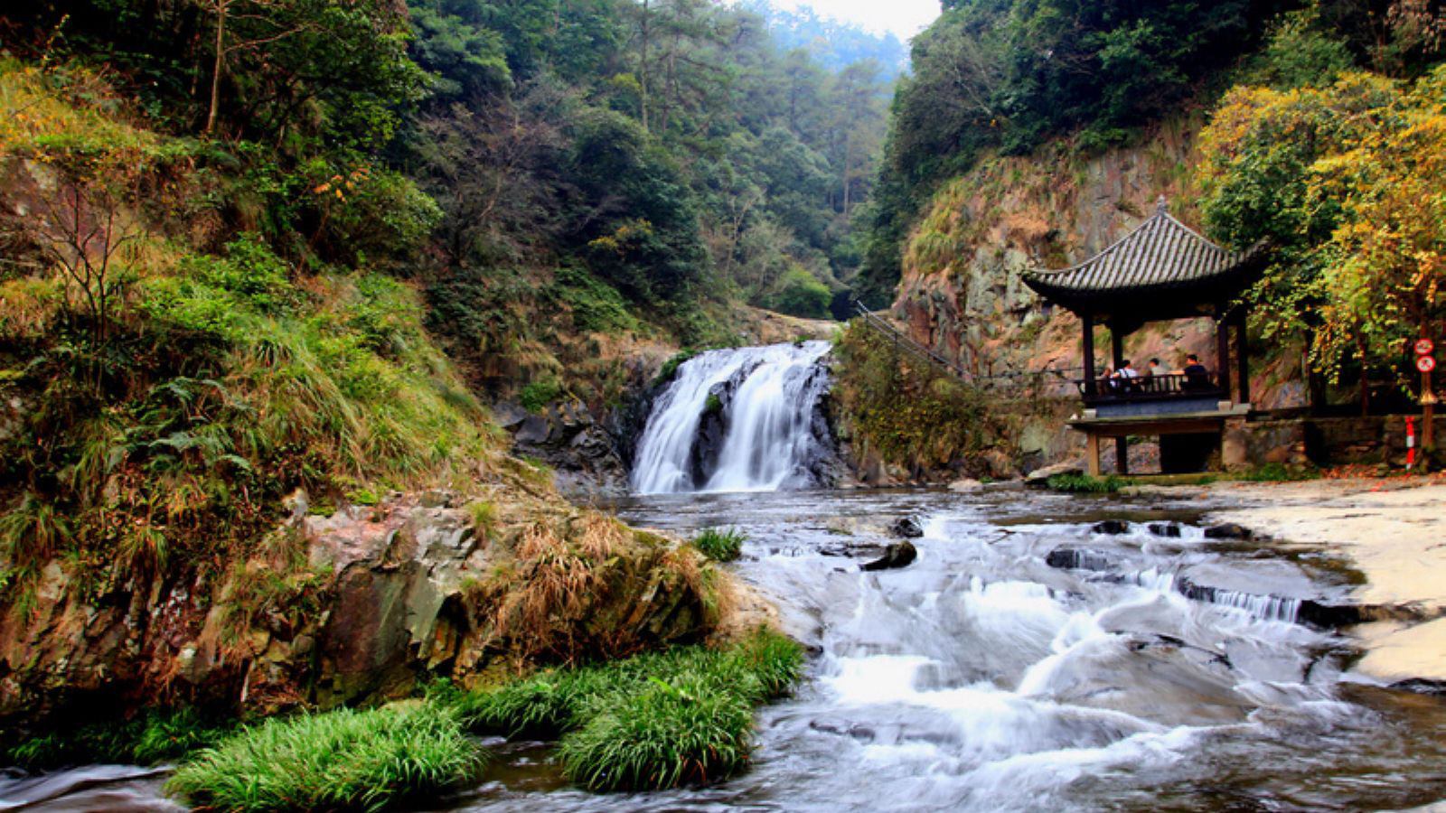 去诸暨五泄看银杏好吗 自驾游 旅游攻略